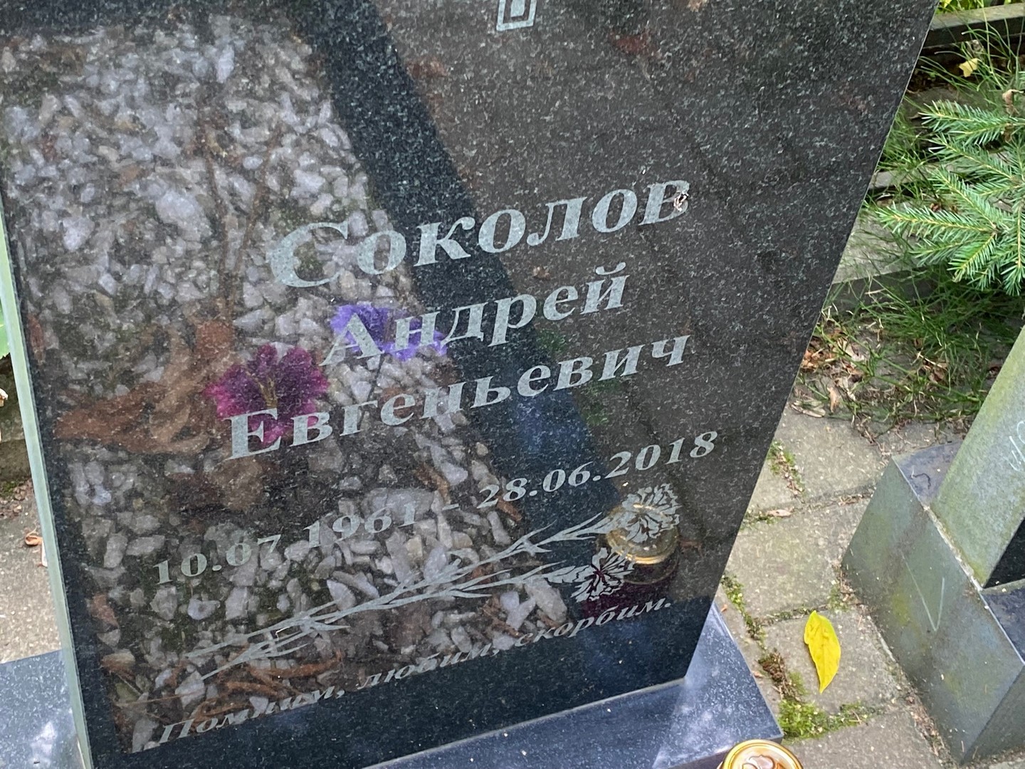 Соколов