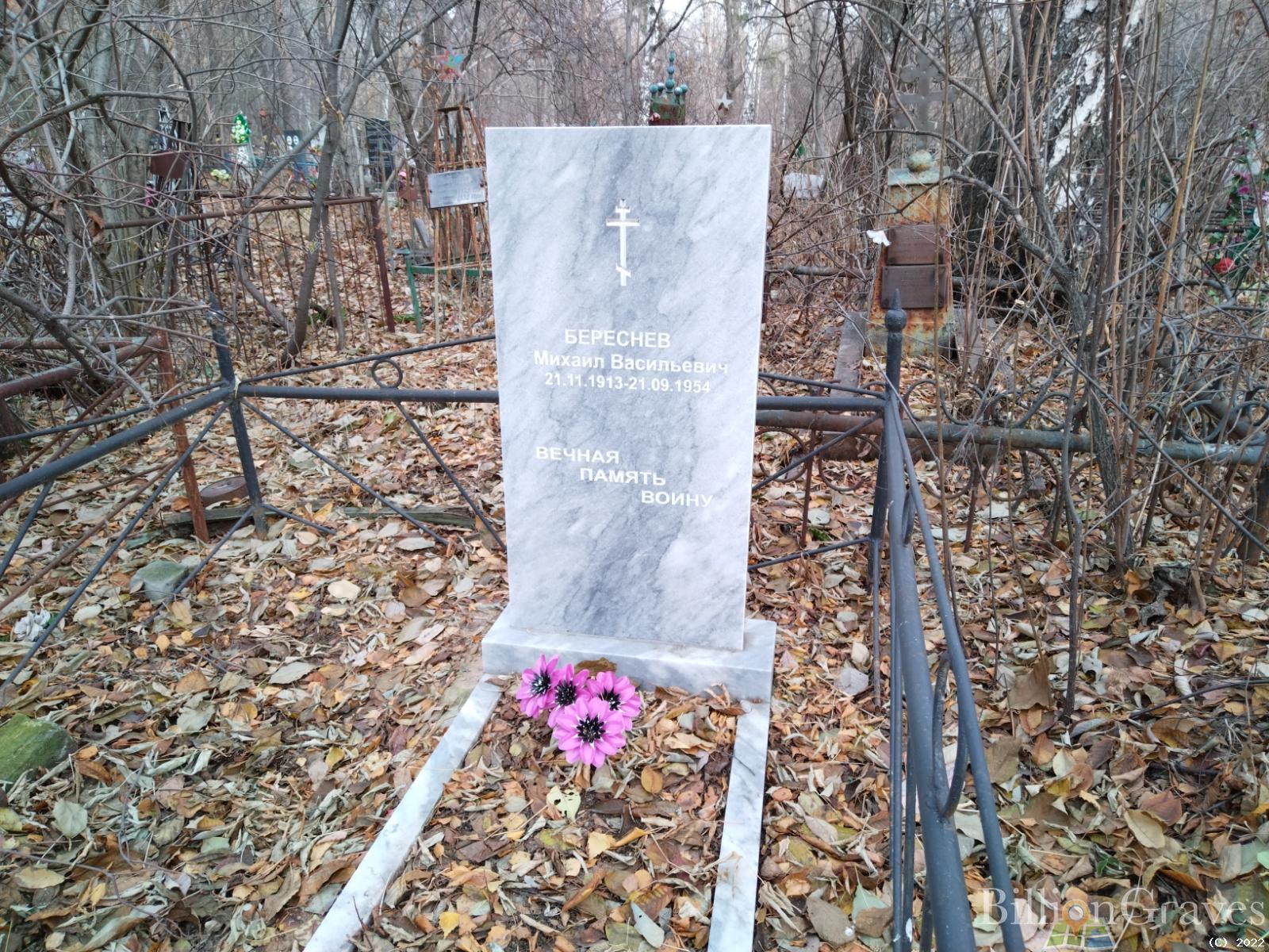 Береснев Михаил Васильевич