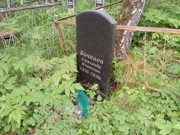 Бочкаев Александр Иванович