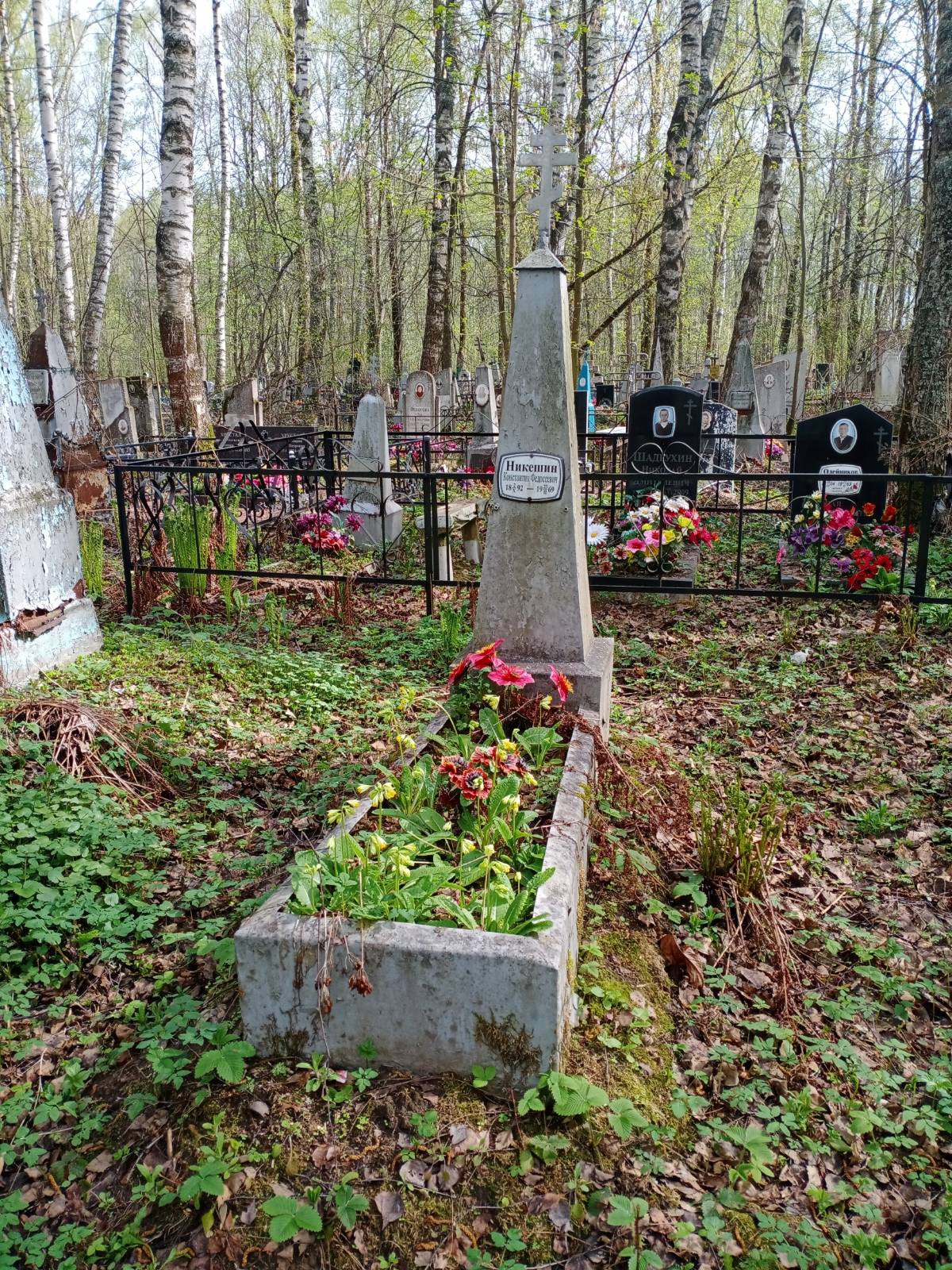 Никешин Константин Федосеевич