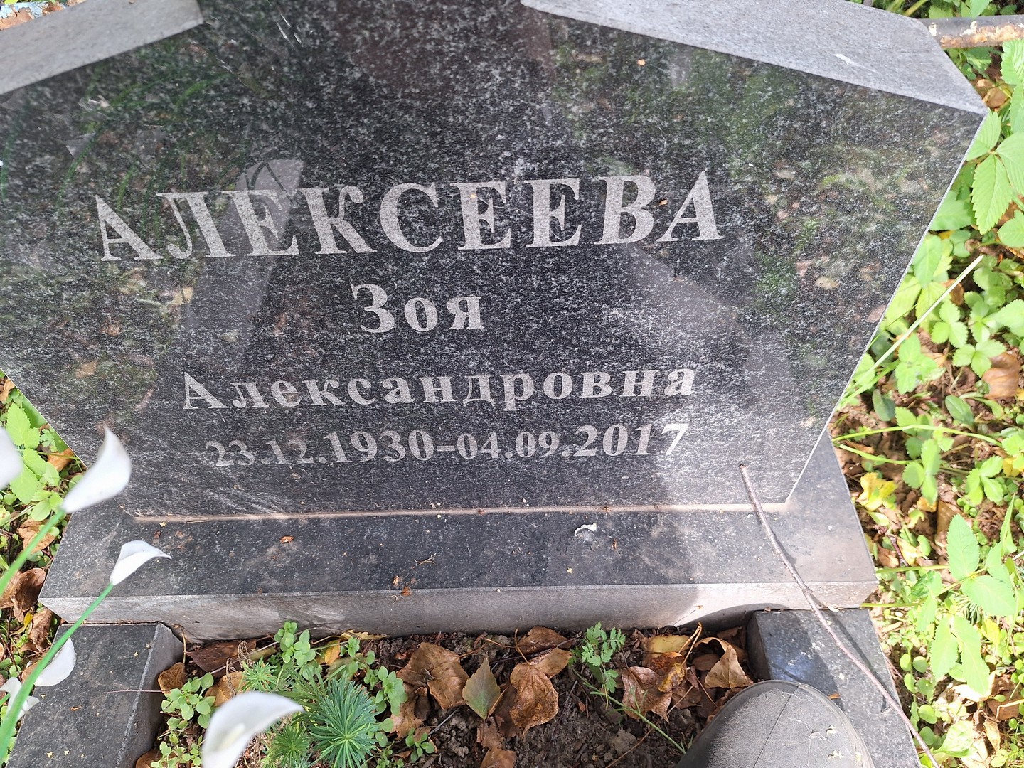 Алексеева