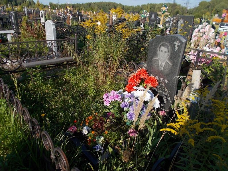 Майоров Сергей Александрович