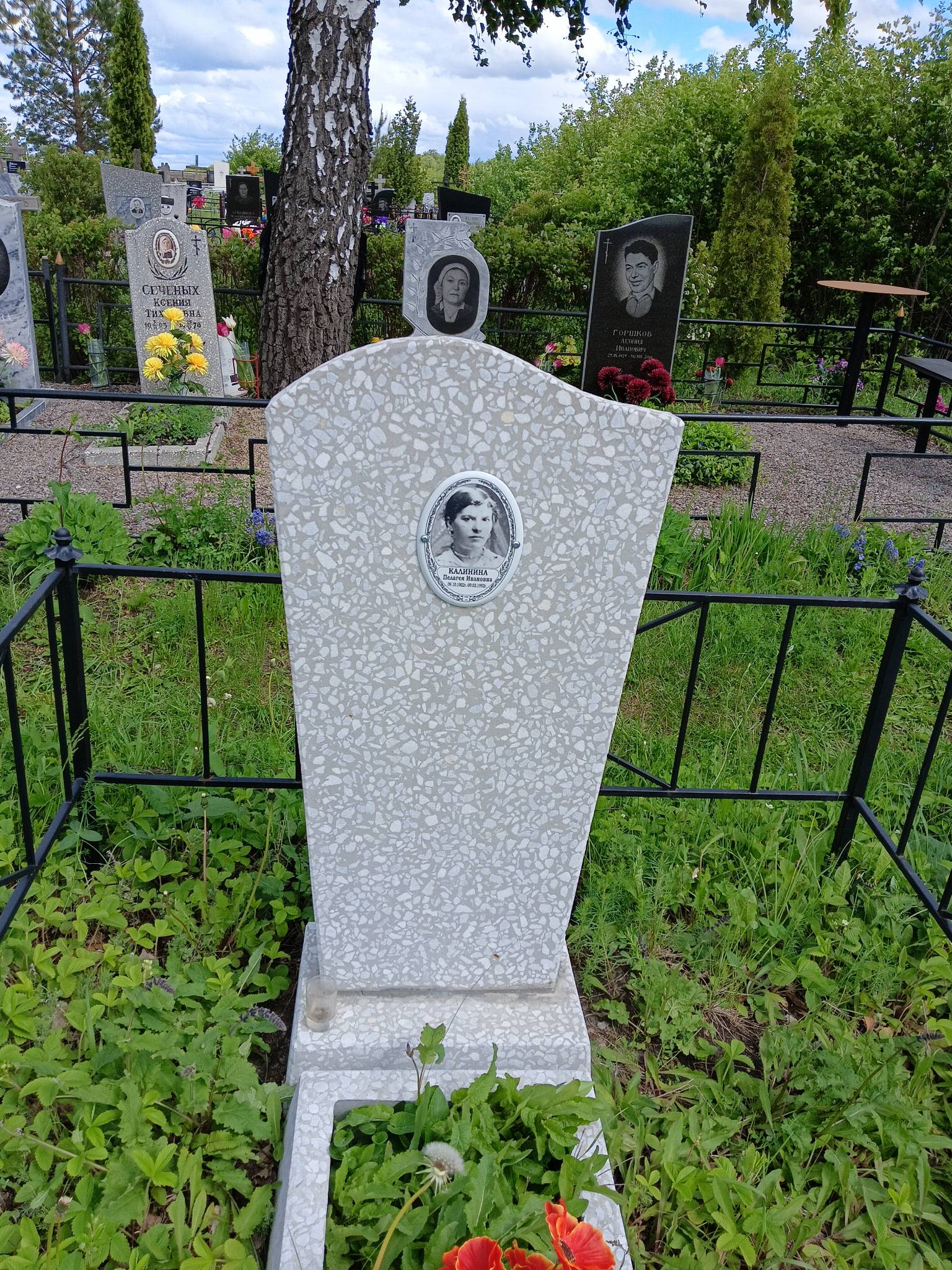 Калинина Пелагея Ивановна