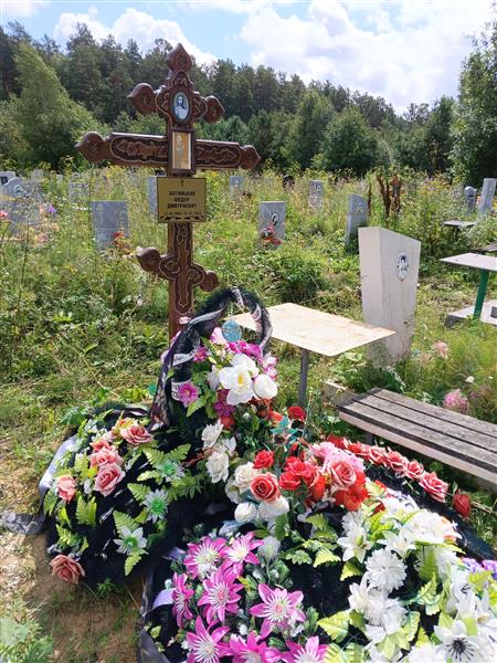 Ботницкий Федор Дмитриевич