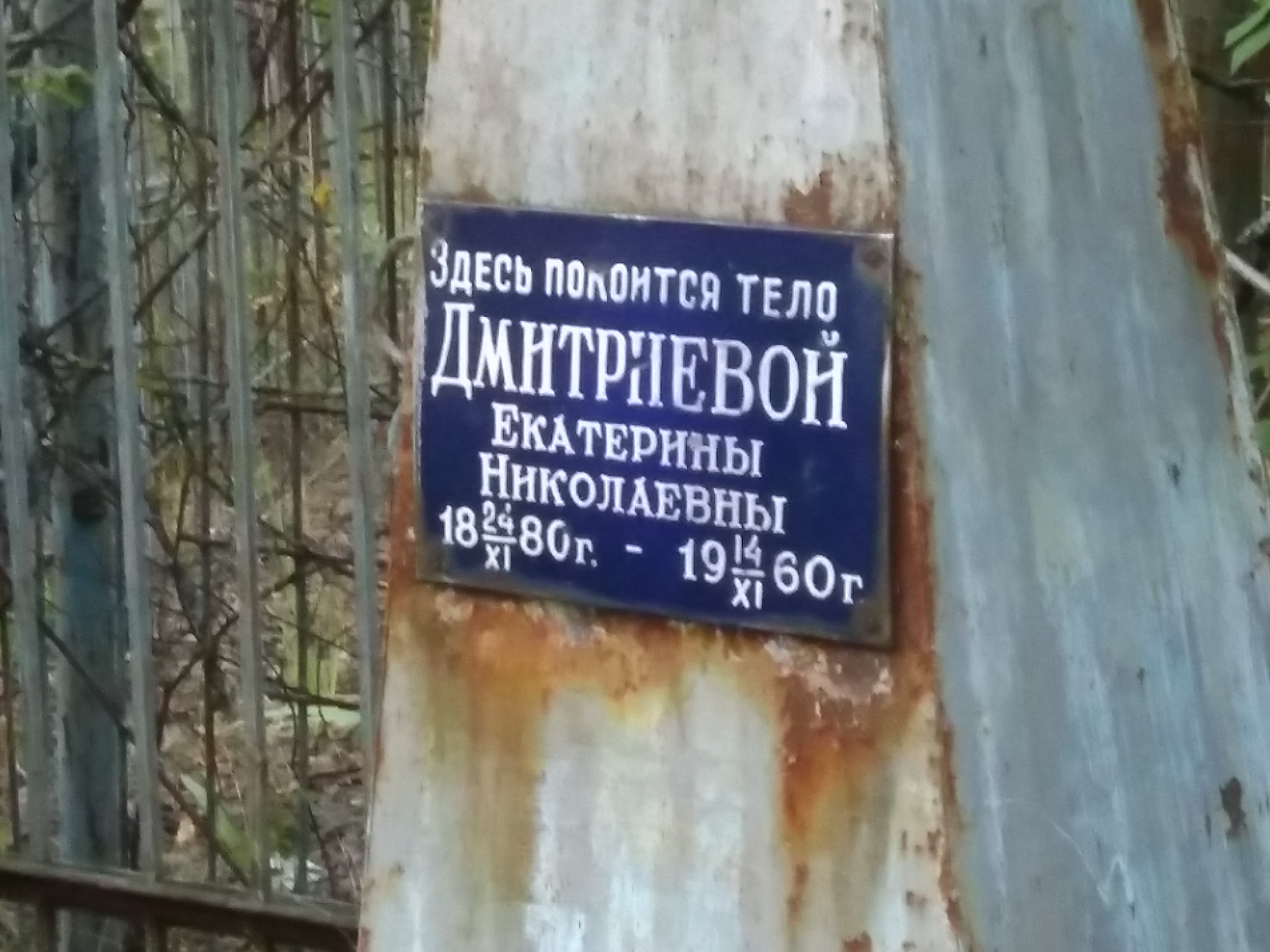 Дмитриева Екатерина Николаевна