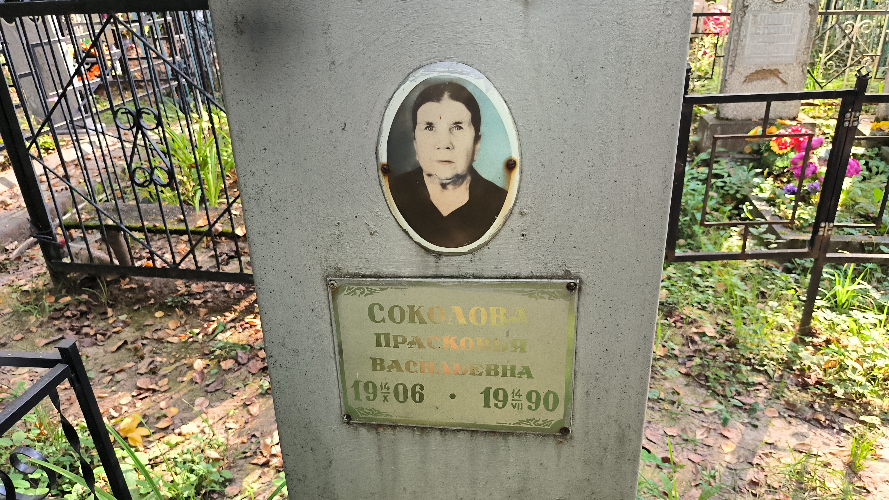 Соколова Прасковья Васильевна