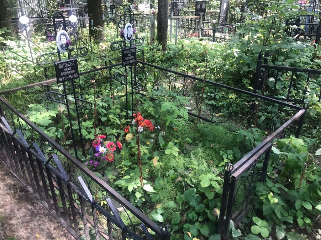 Антонова Мария Васильевна