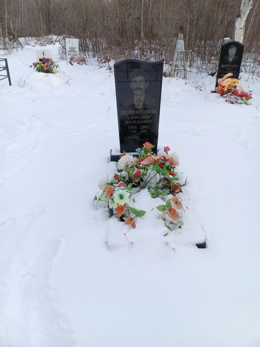 Долгополюк Александр Васильевич