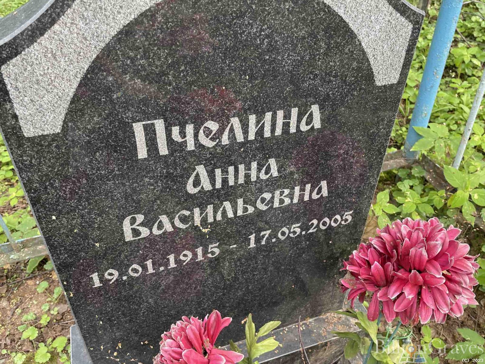 Пчелина Анна Васильевна