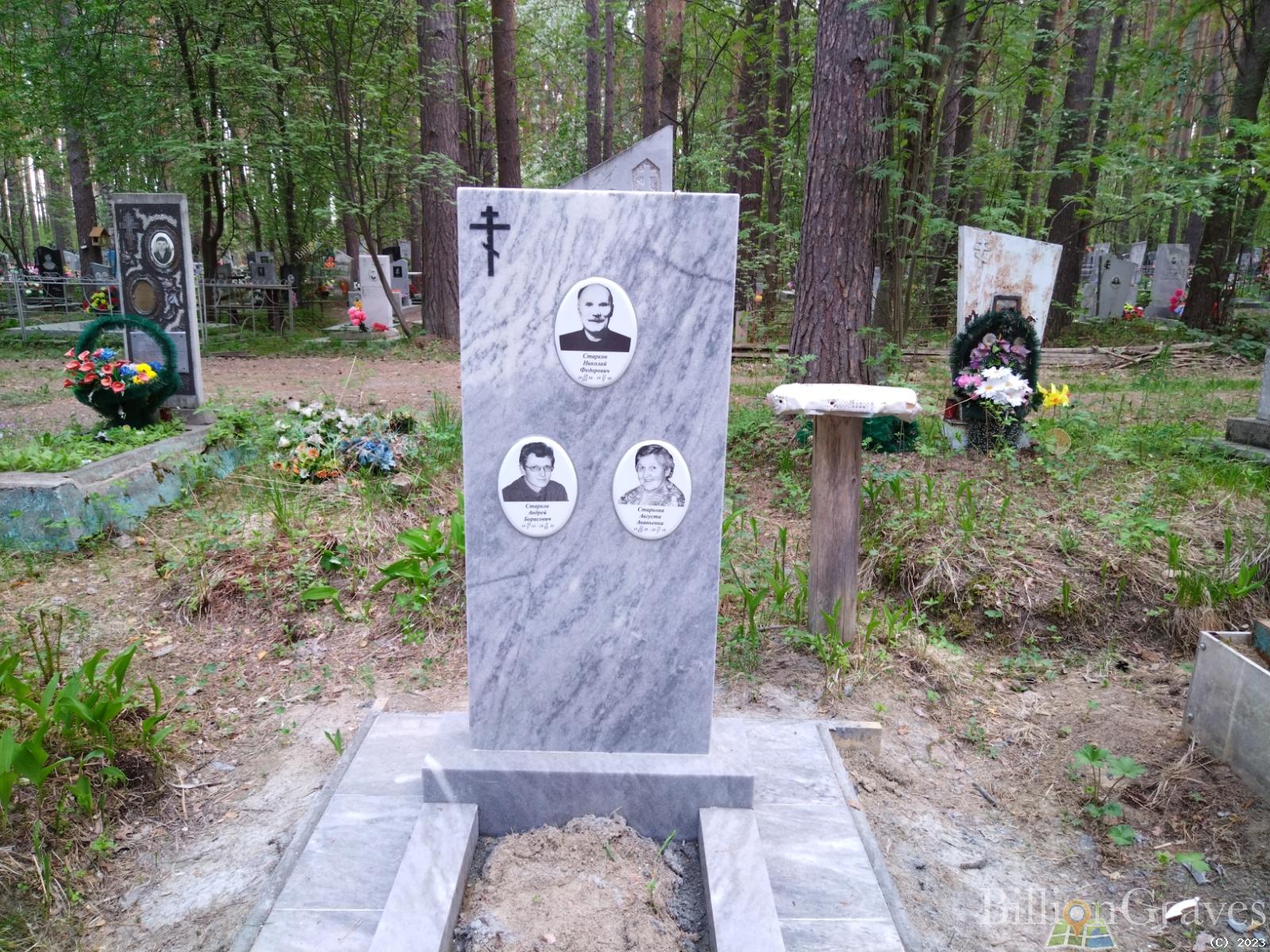 Старков Андрей Борисович