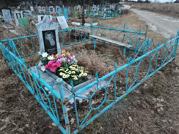 Дёмин Сергей Николаевич