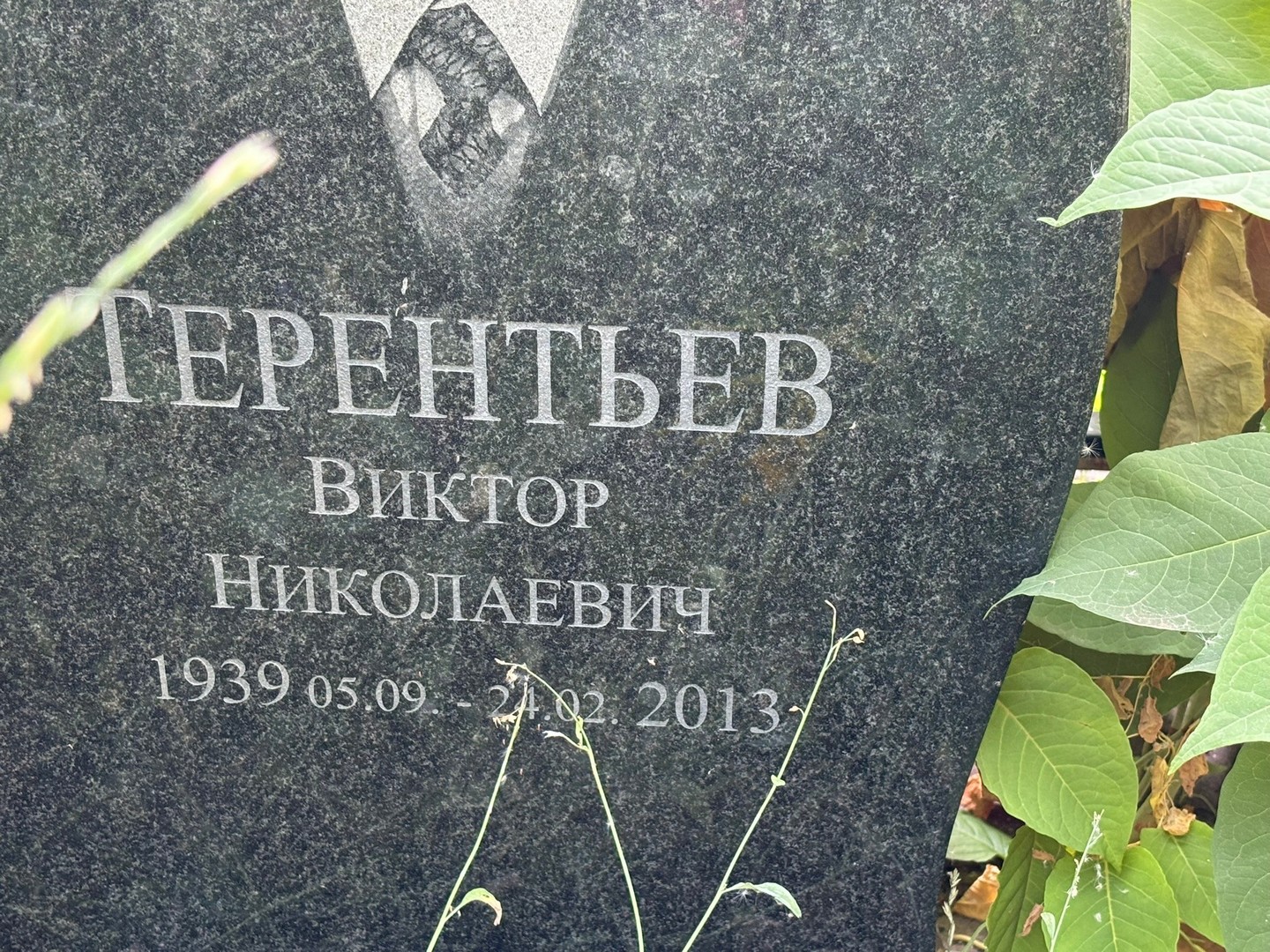 Терентьев