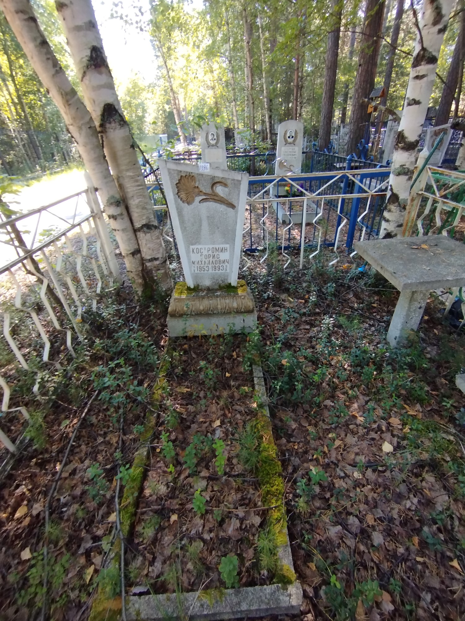 Костромин Борис Михайлович