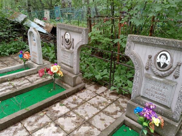 Середкина Анна Антоновна