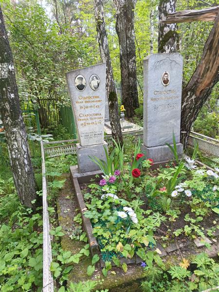 Старостин Иван Николаевич