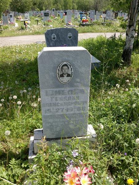 Шмёлев Геннадий Александрович