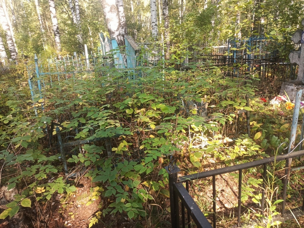 Глазова Наталья Андреевна