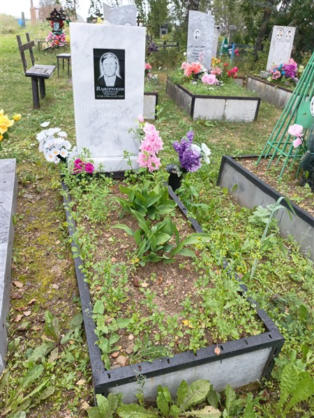 Власенков Станислав Иванович