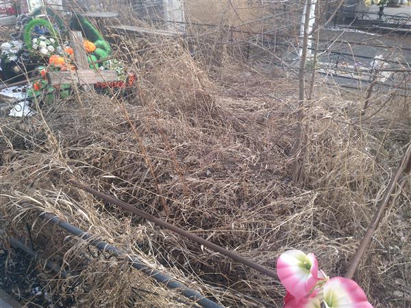 Верхотина Валентина Петровна