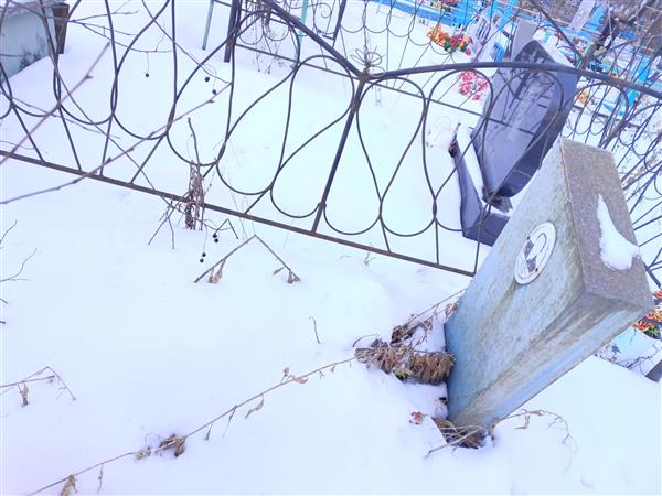 Трубачева Анна Михайловна