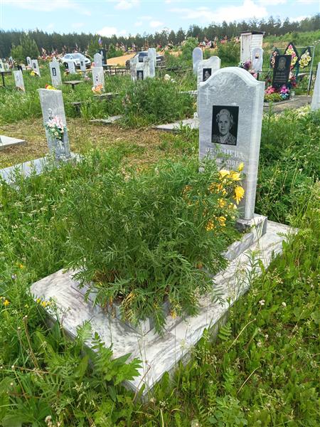 Чеченева Парасковья Ефимовна