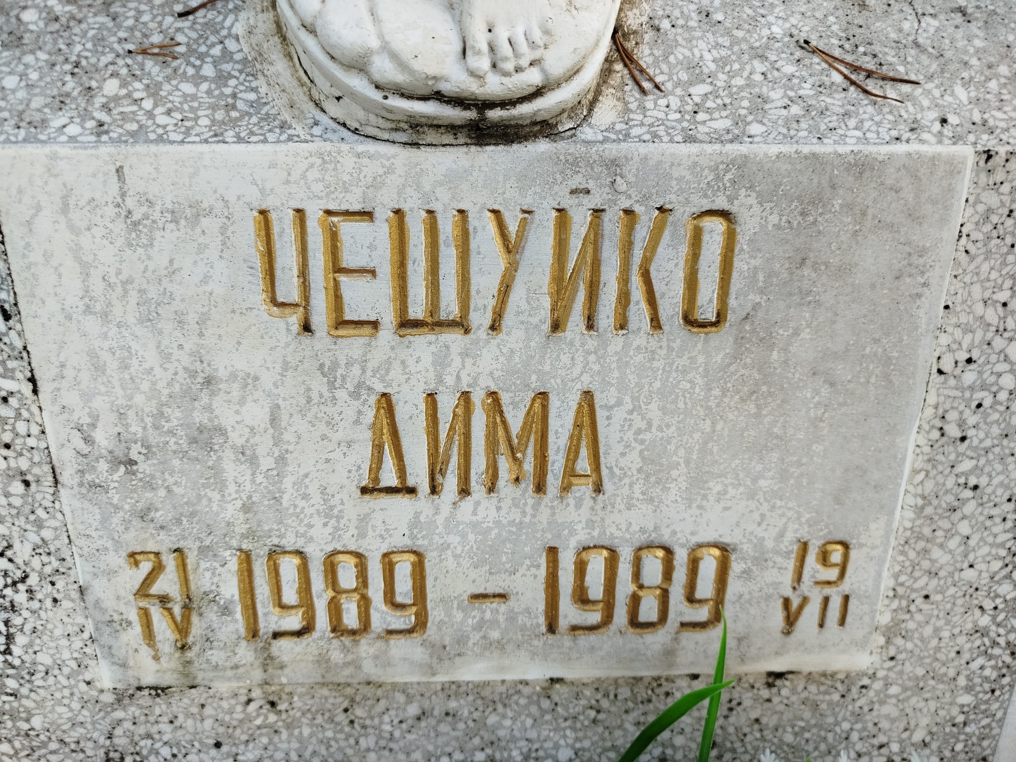 Чешуйко Дима