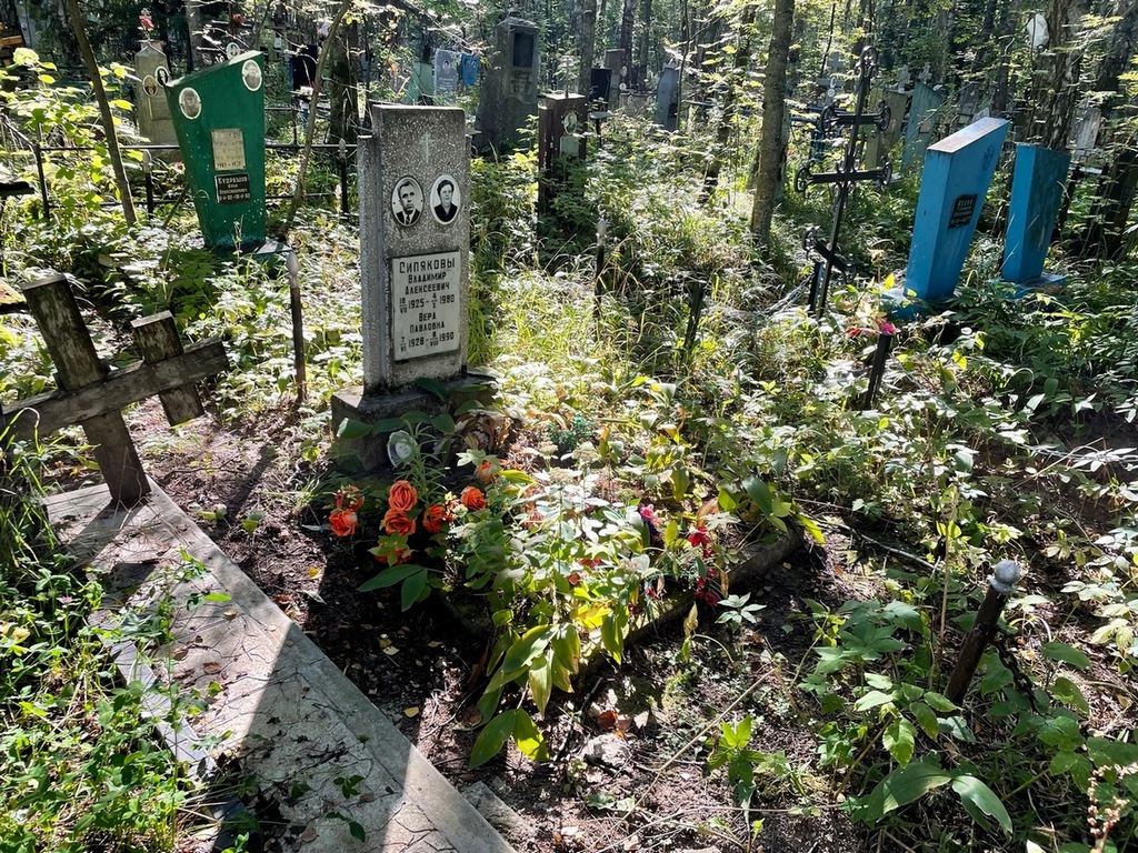 Сипяков Владимир Алексеевич