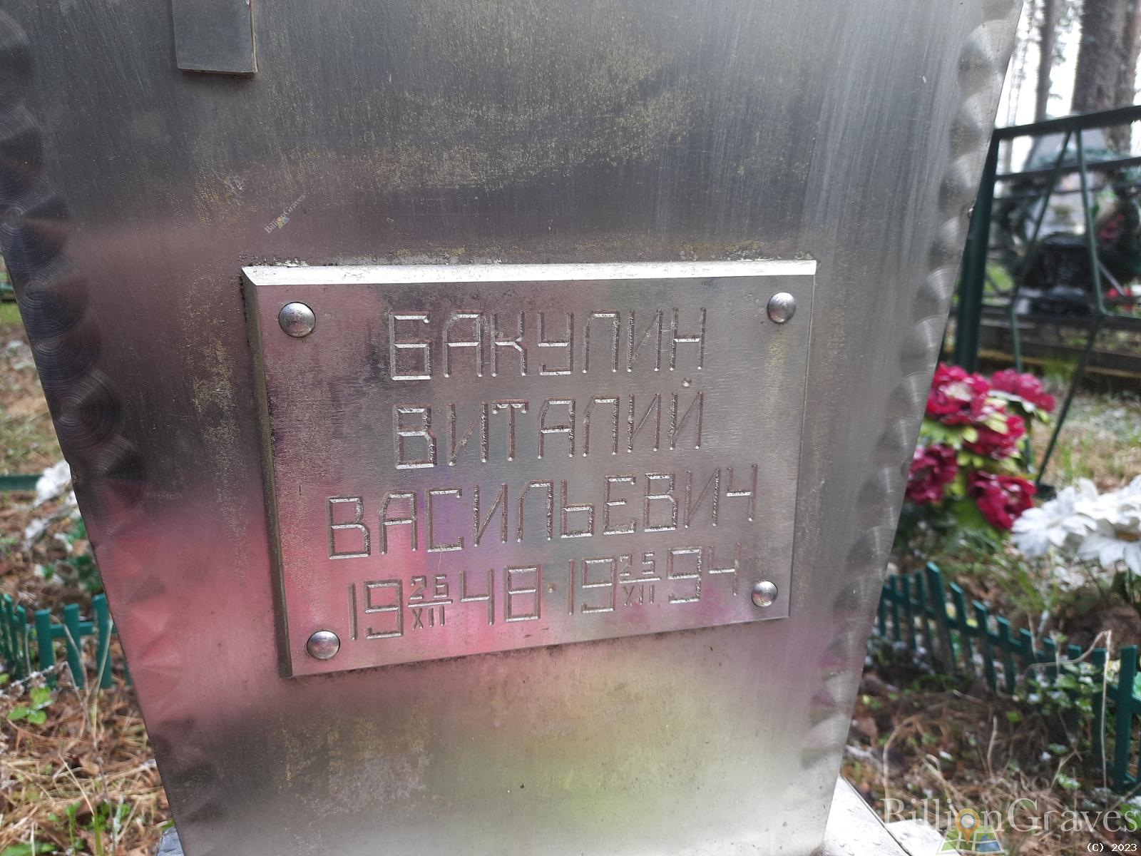 Бакулин Виталий Васильевич