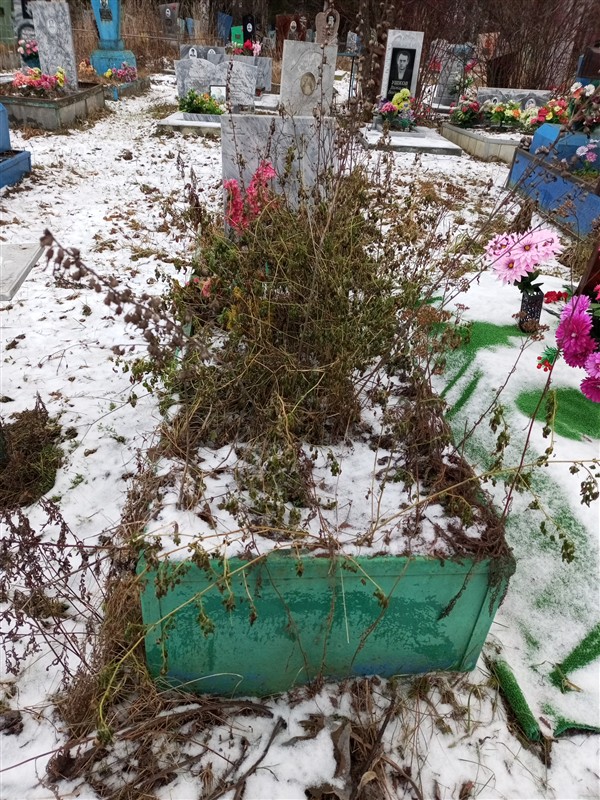 Гаева Ксения Петровна