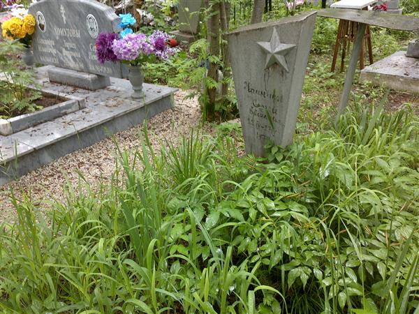 Чайников Сергей Васильевич