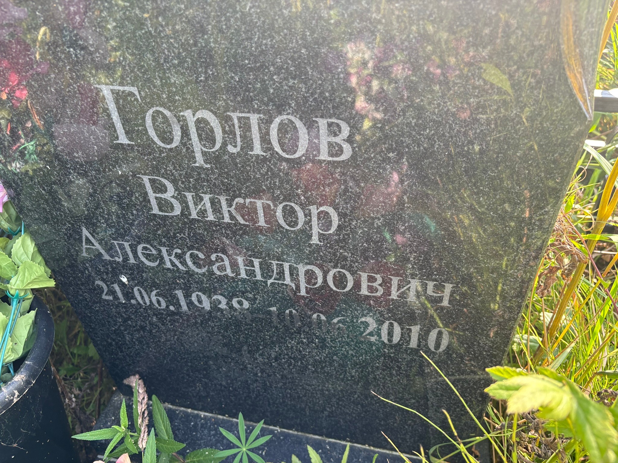 Горлов