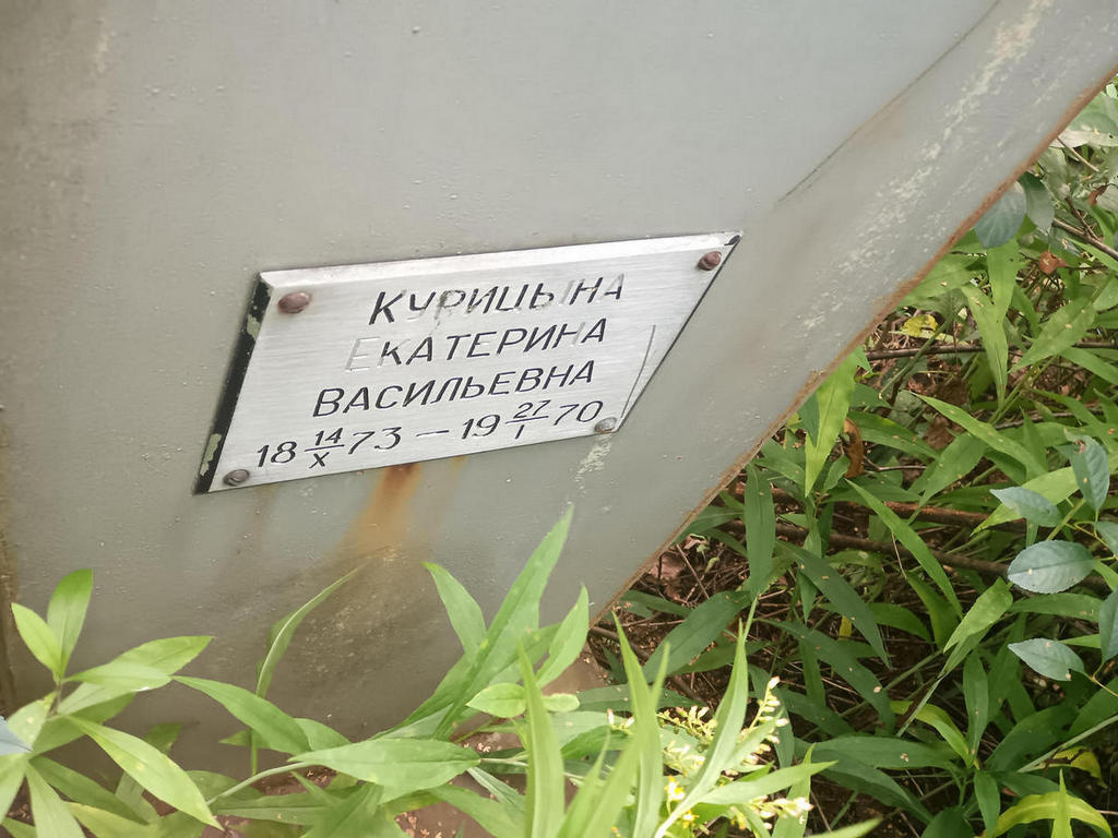 Курицына Екатерина Васильевна