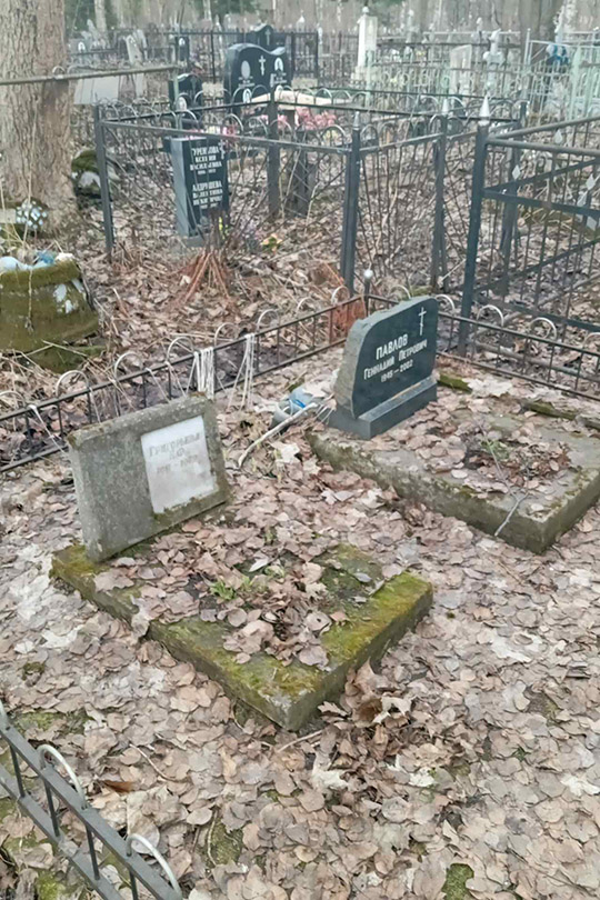 Григорьева Е. Ф.