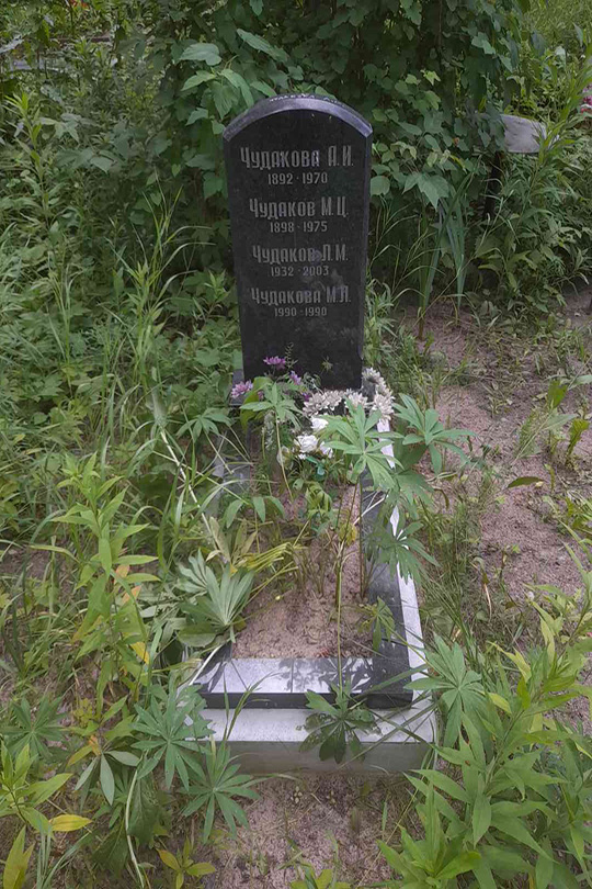 Чудаков Л. М.