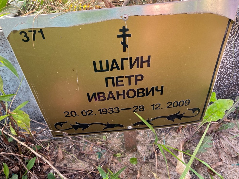 Шагин