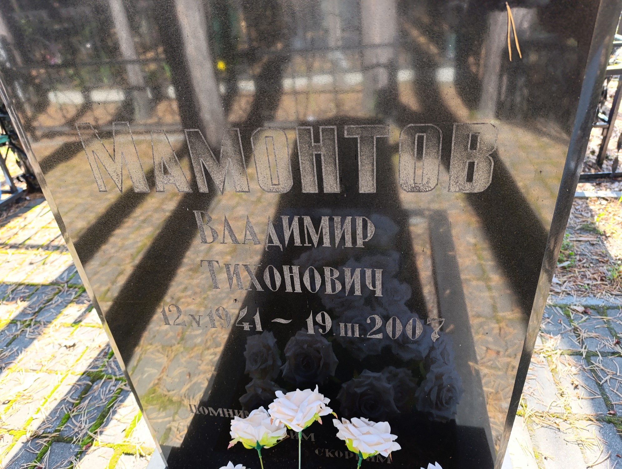 Мамонтов Владимир Тихонович