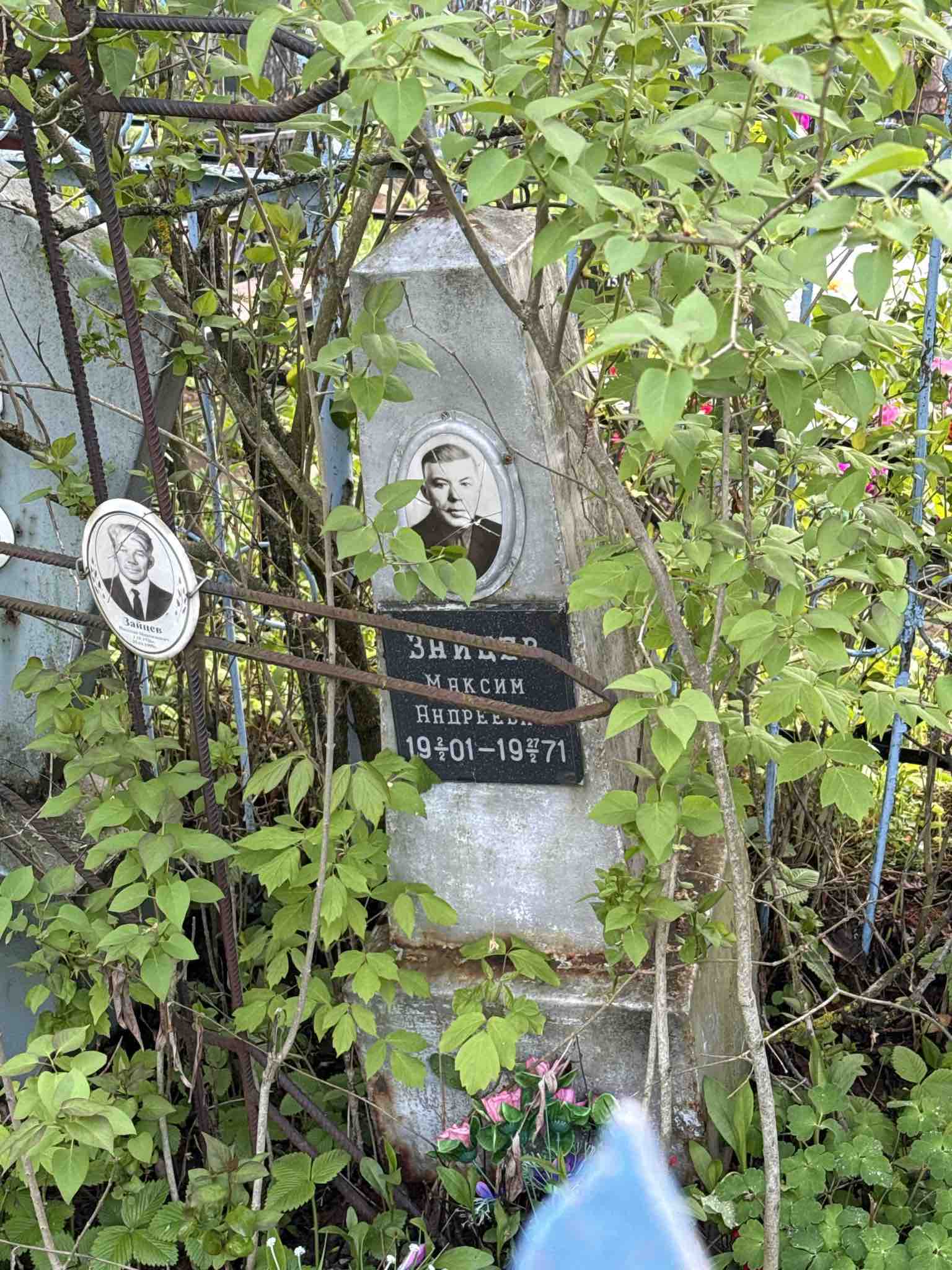 Зайцев Максим Андреевич