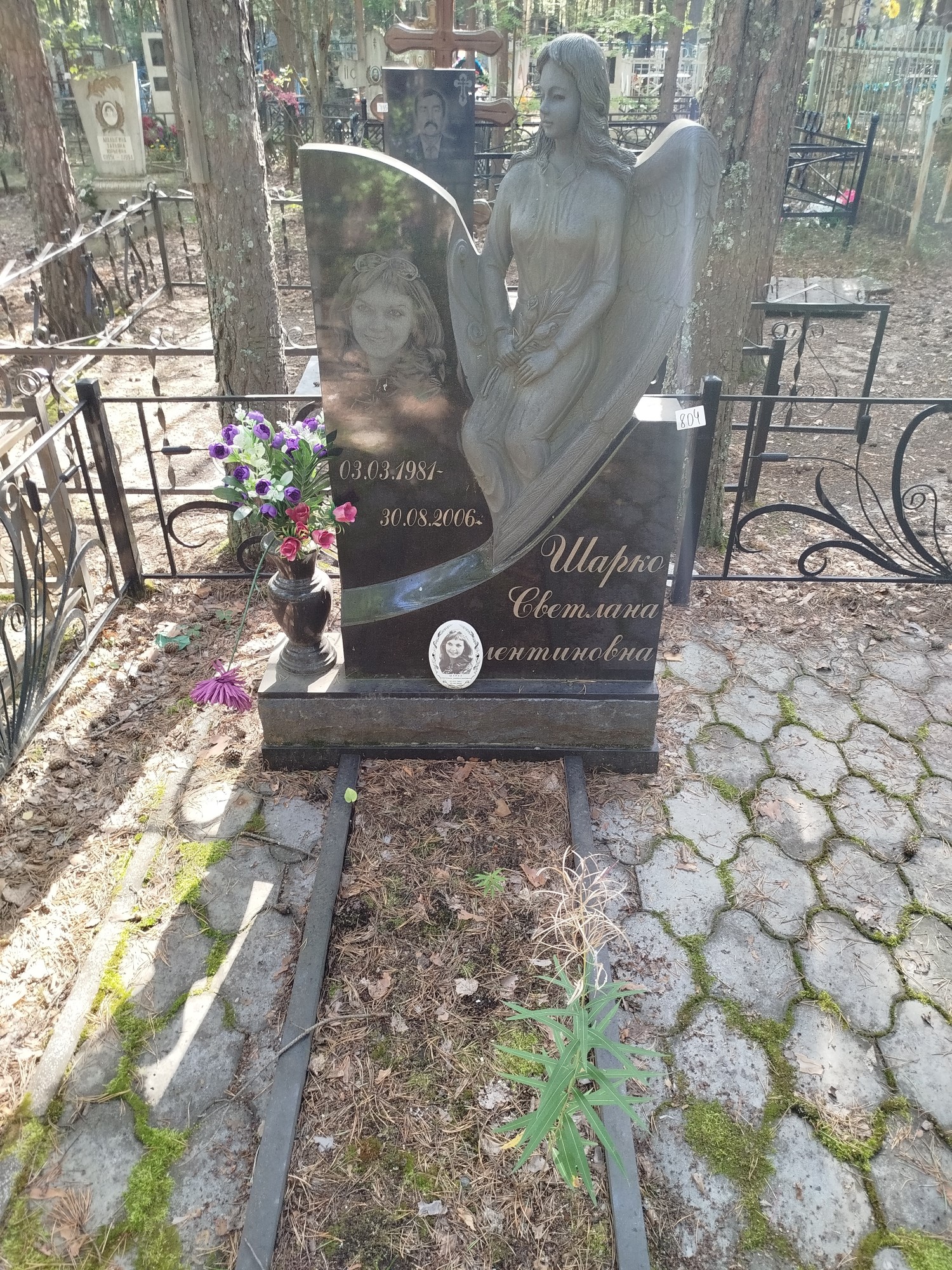 Шарко Светлана Валентиновна