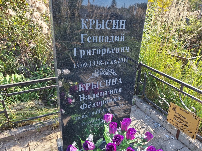 Крысин