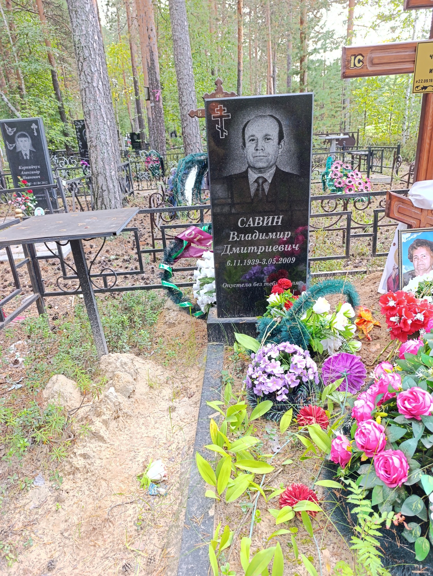 Савин Владимир Дмитриевич