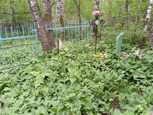 Думцова Валентина Николаевна