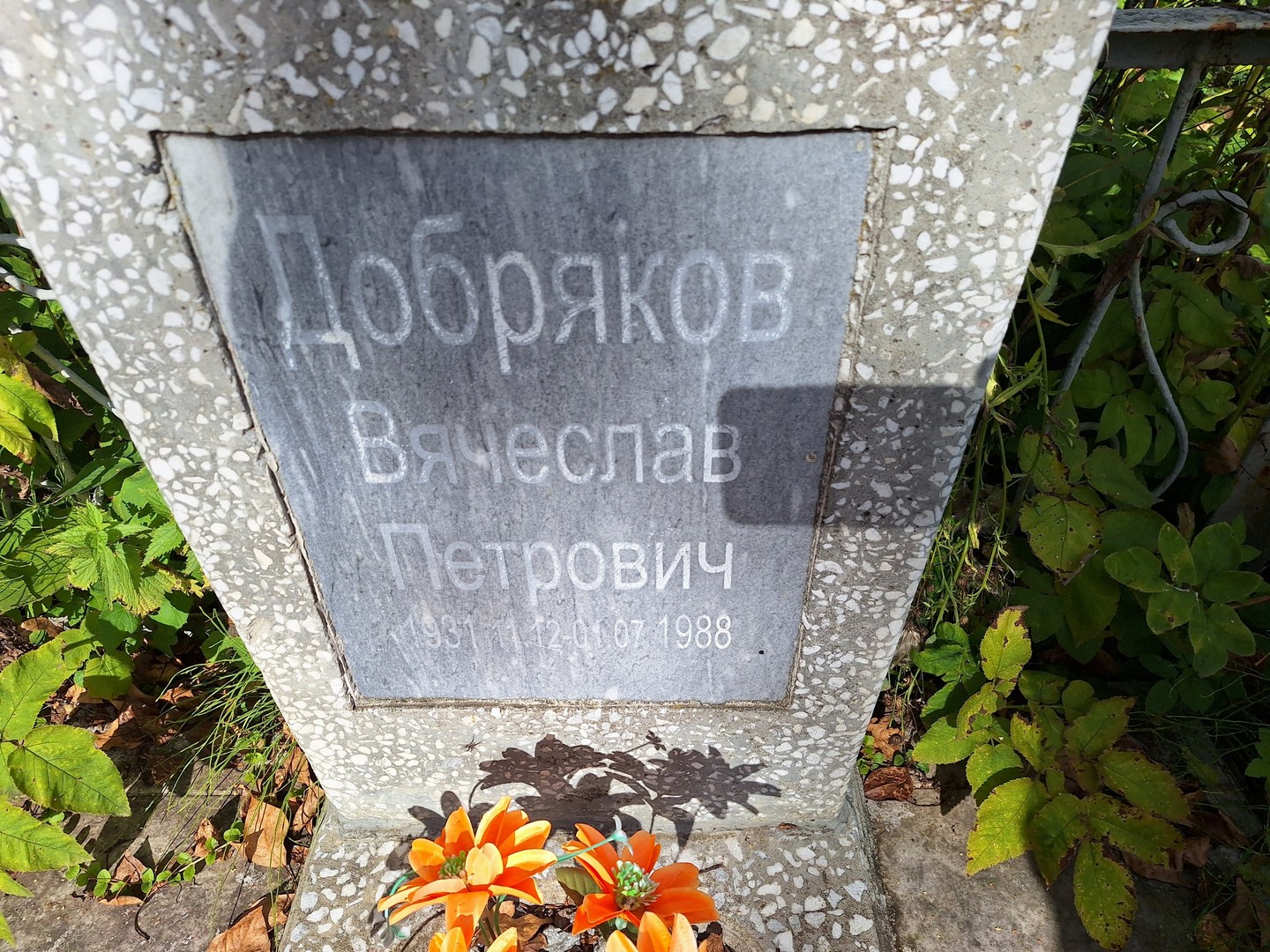 Добряков