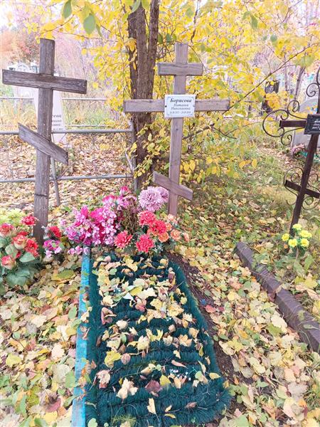 Борисова Наталья Николаевна