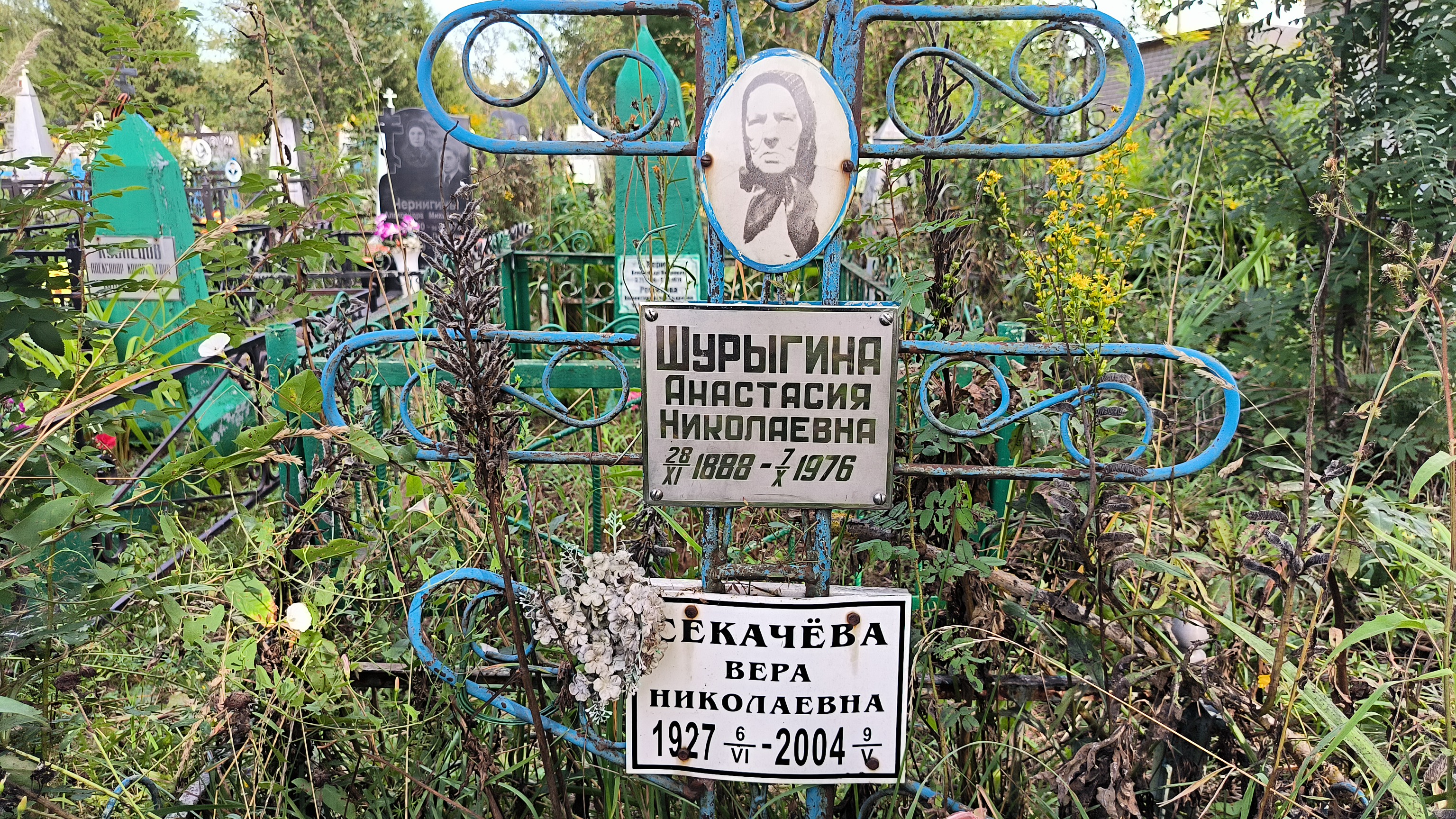 Шурыгина Анастасия Николаевна