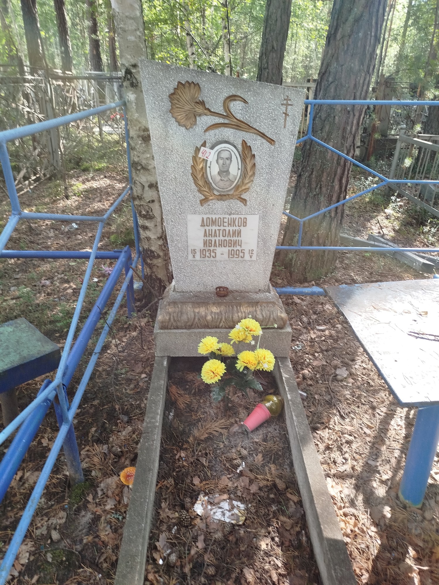 Домоенко Анатолий Иванович