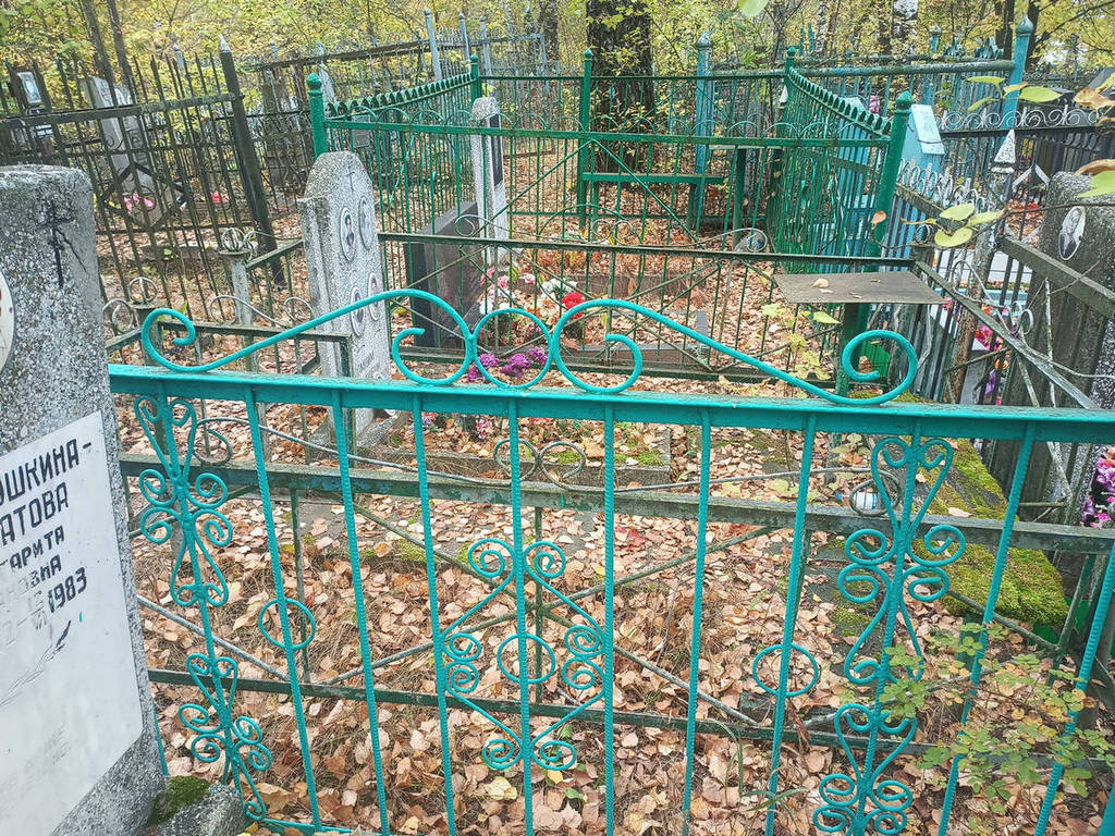 Икина Наталья Михайловна