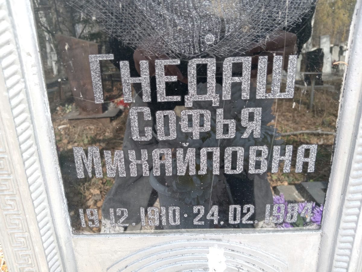 Гнедаш Софья Михайловна