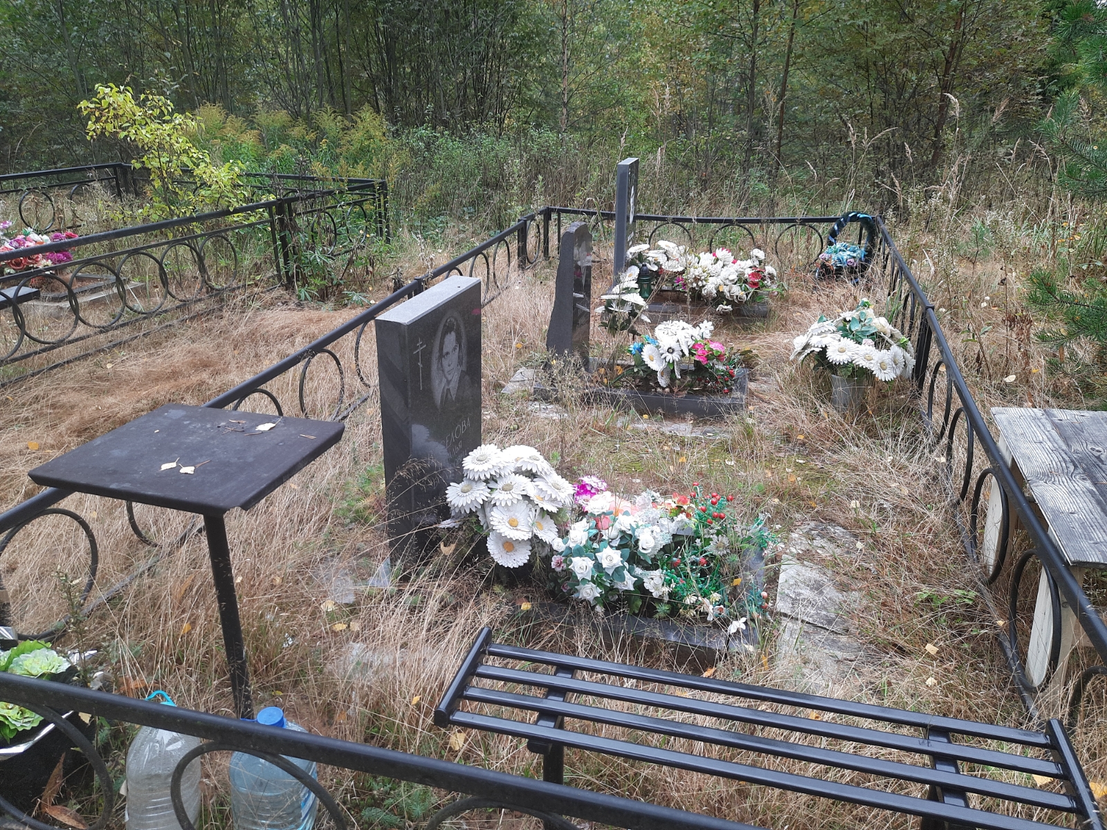 Веселова Анна Васильевна