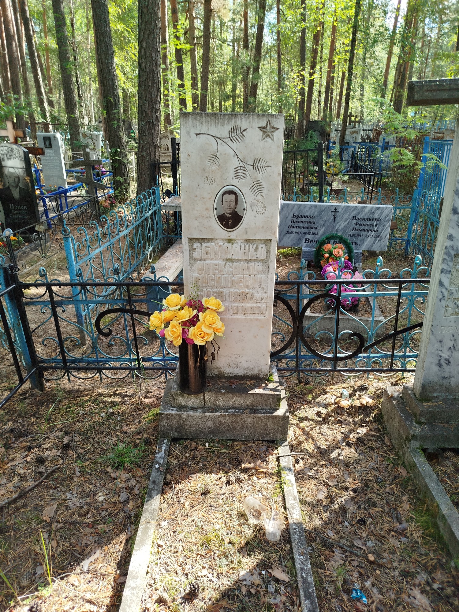 Землянко Александр Васильевич