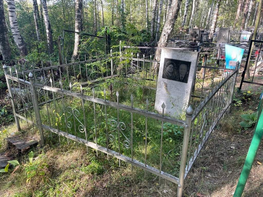Челухин Николай Павлович